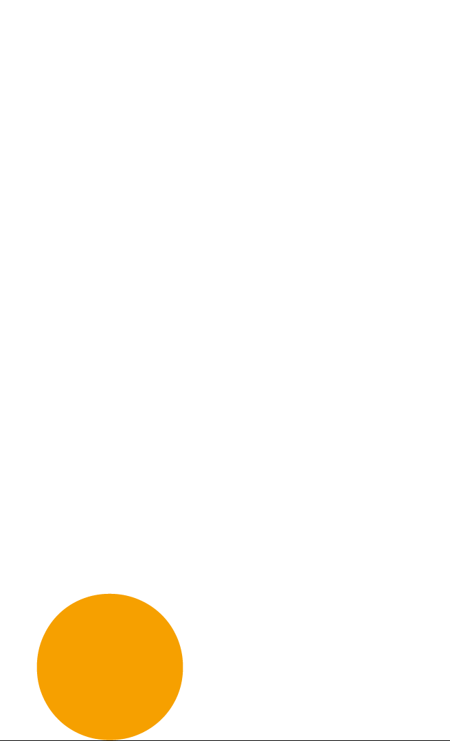 Fundación Internacional de la Juventud